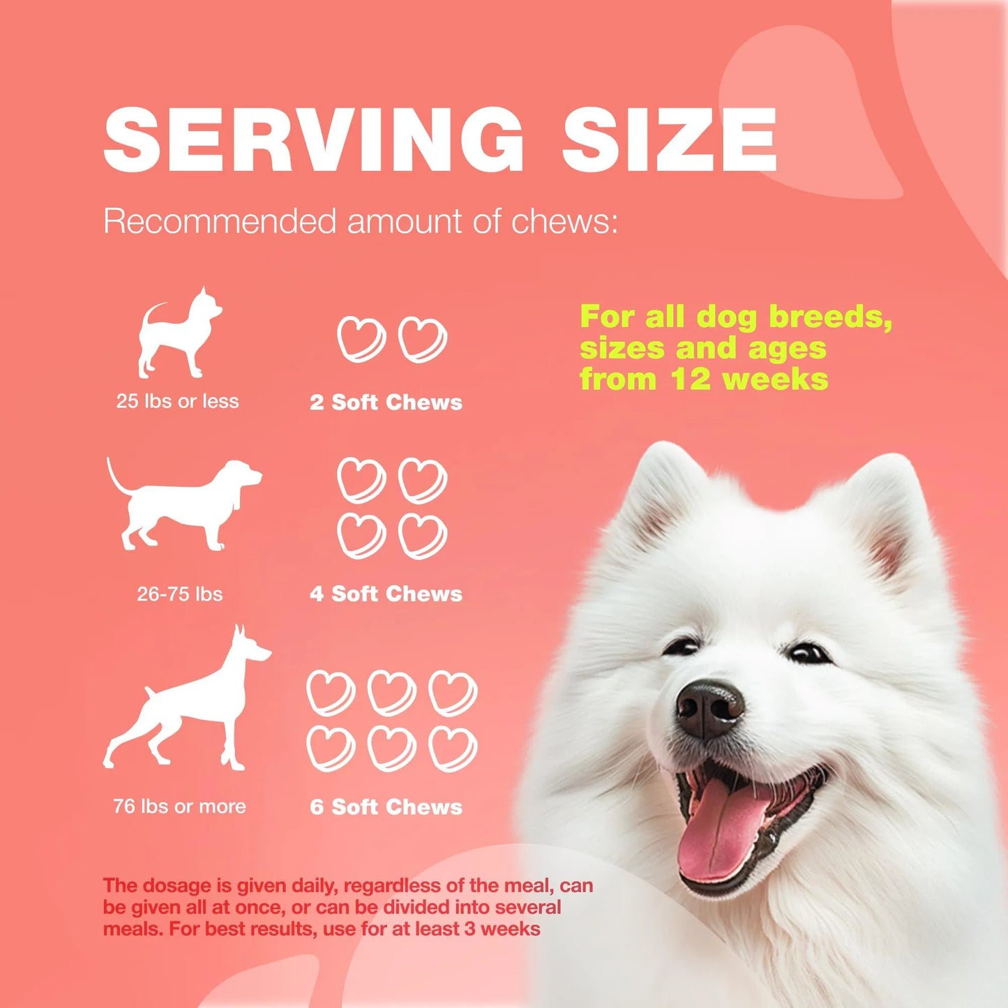 Natural Flea and Tick Prevention Chews for Dogs - Immune Support Soft Treats