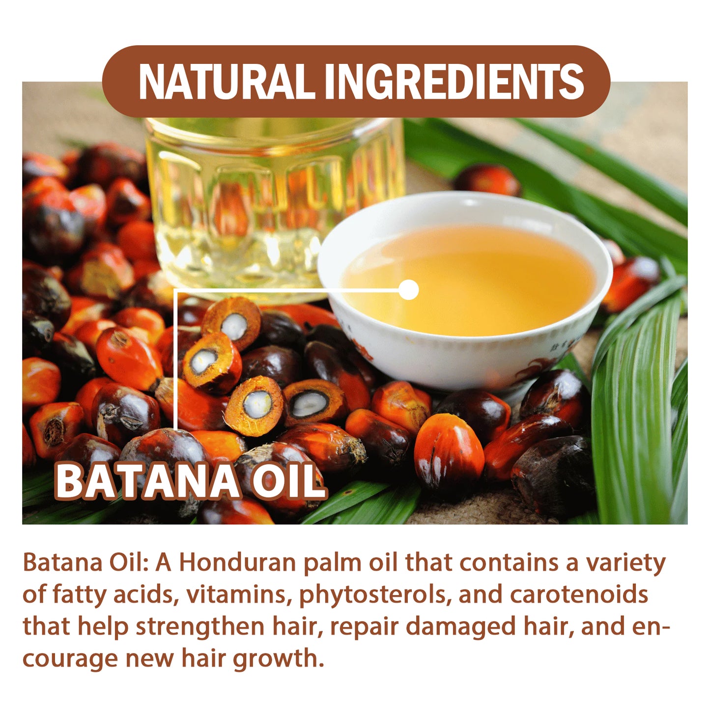 Batana Oil Hair Conditioner - Deep Moisturizing Treatment for Thicker, Stronger, Shinier Hair