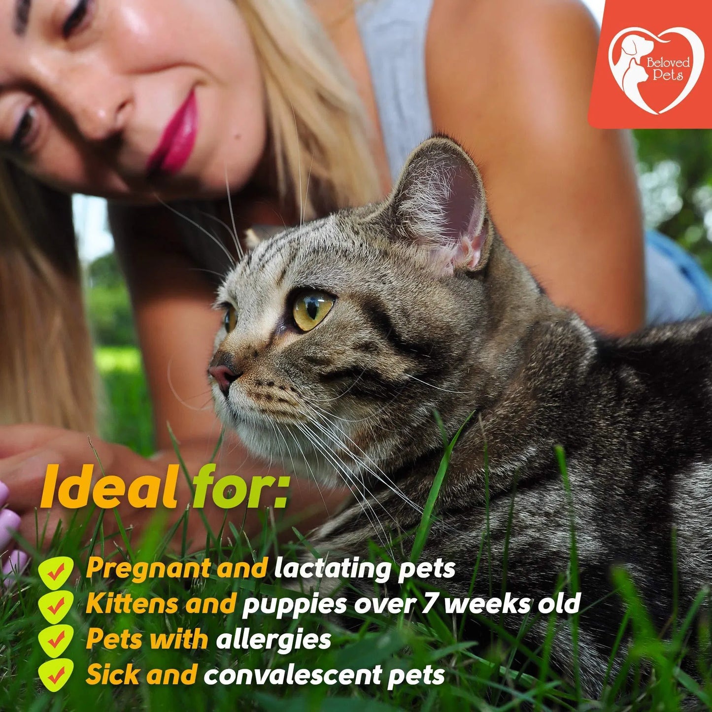 Natural Flea & Tick Prevention for Dogs & Cats - 3 Month Protection