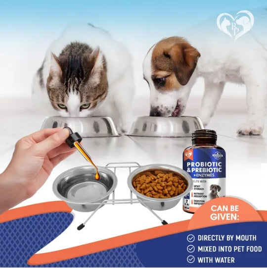 Probiotics for Dogs & Cats | Digestive Enzymes, Gut Health & Immune Support