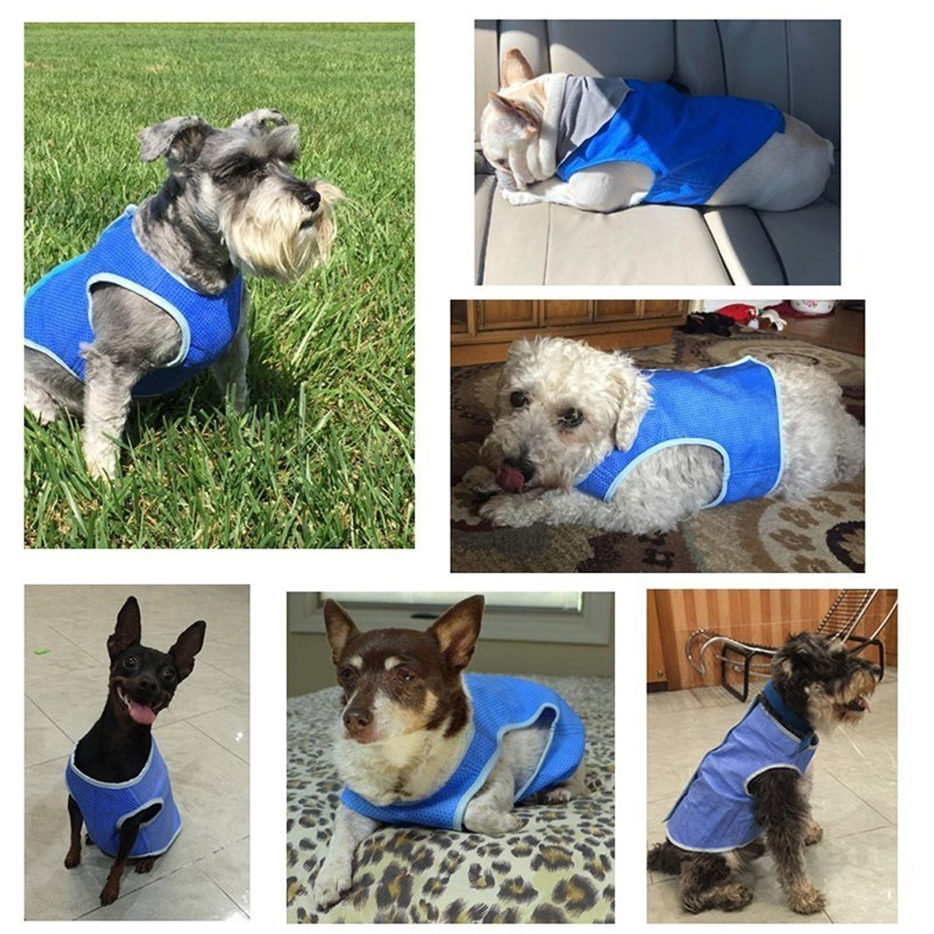 Dog Cooling Vest for Summer - Breathable Heat Relief Pet Jacket