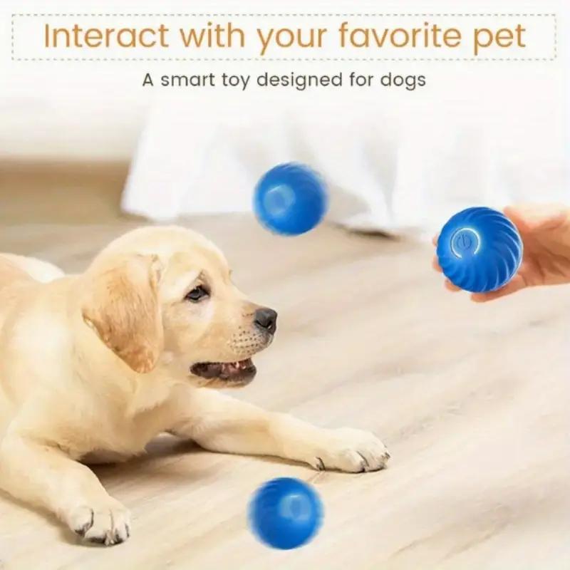 Interactive Bounce Ball for Dogs & Cats – Durable Rubber Pet Toy