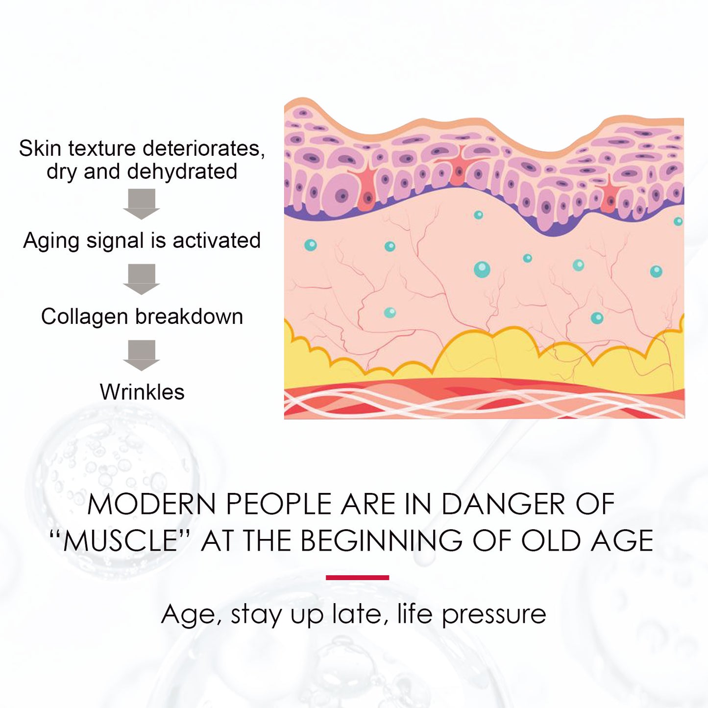 Organic Rosehip Oil - Multi-Purpose Face, Body & Hair Moisturizer for Dry Skin & Anti-Aging