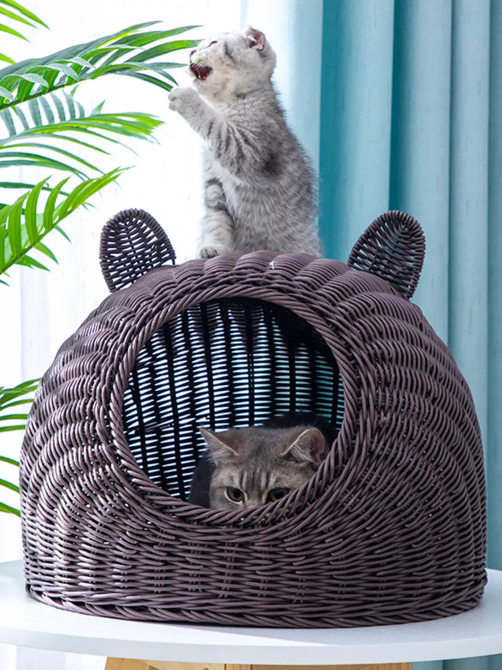 Rattan Pet Nest – Semi-Enclosed Washable Cat Bed