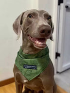 Lightweight Adjustable Pet Scarf – Soft Polyester for Dogs & Cats