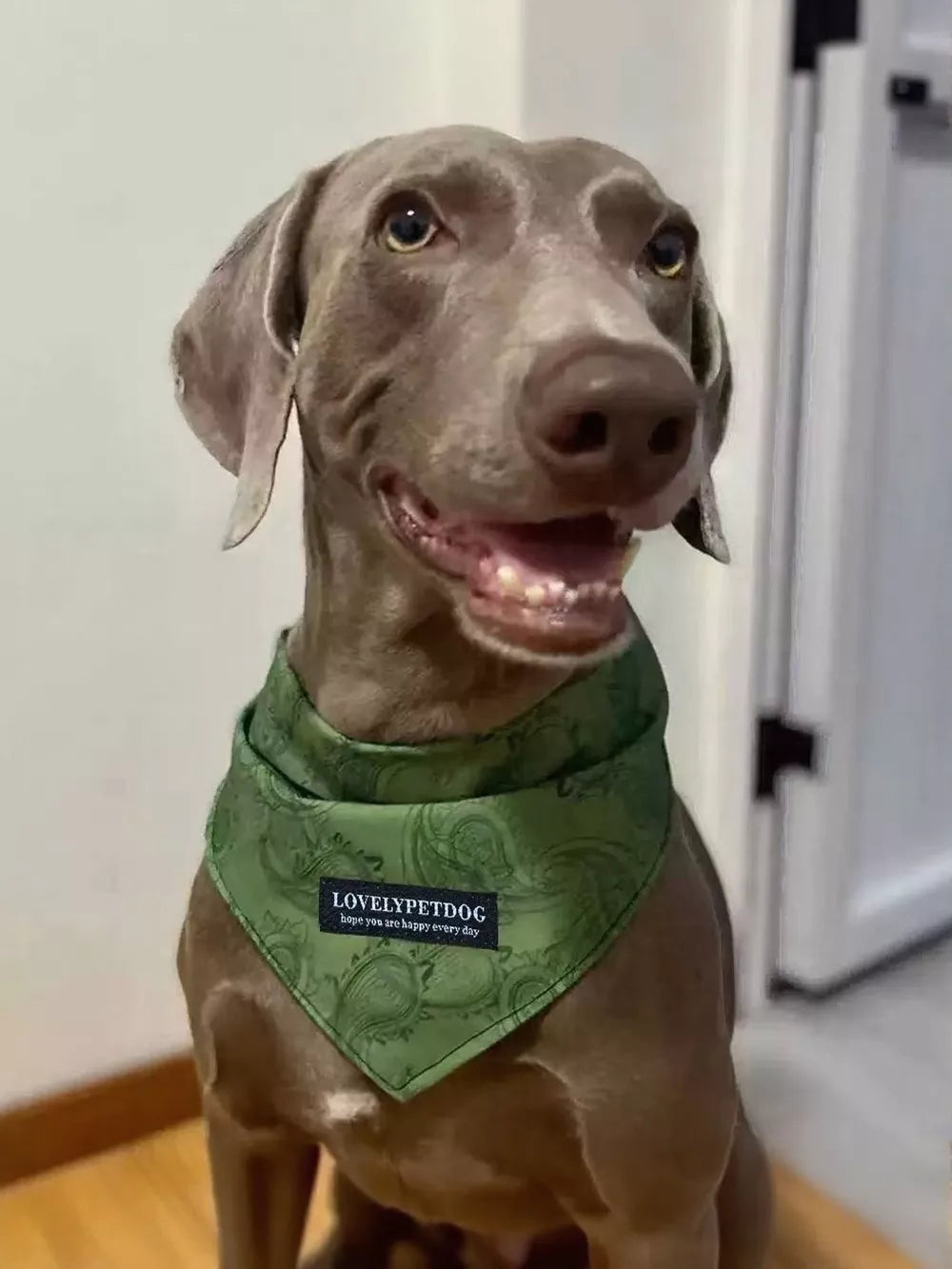 Lightweight Adjustable Pet Scarf – Soft Polyester for Dogs & Cats