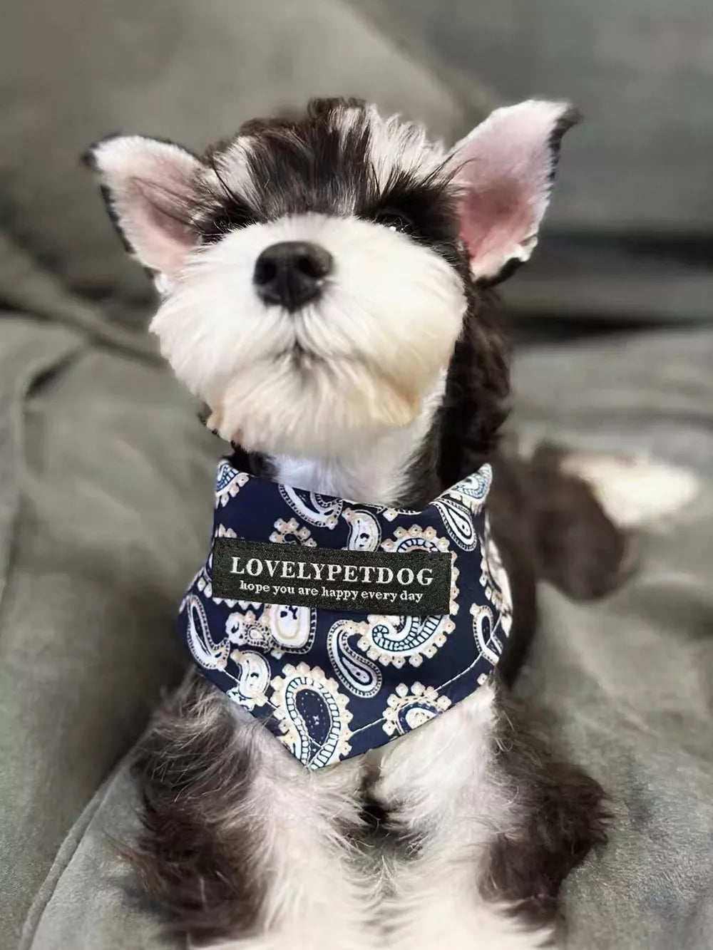 Lightweight Adjustable Pet Scarf – Soft Polyester for Dogs & Cats
