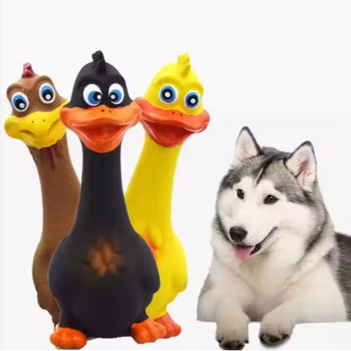 Squeaky Duck Dog Toy – Durable Latex Chew & Interactive Play Toy for Dogs
