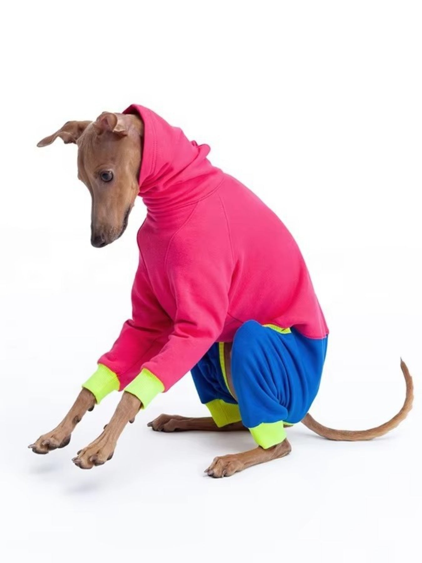 Color Block Turtleneck Pet Jumpsuit – Plus Size | Cozy Dog & Cat Outfit