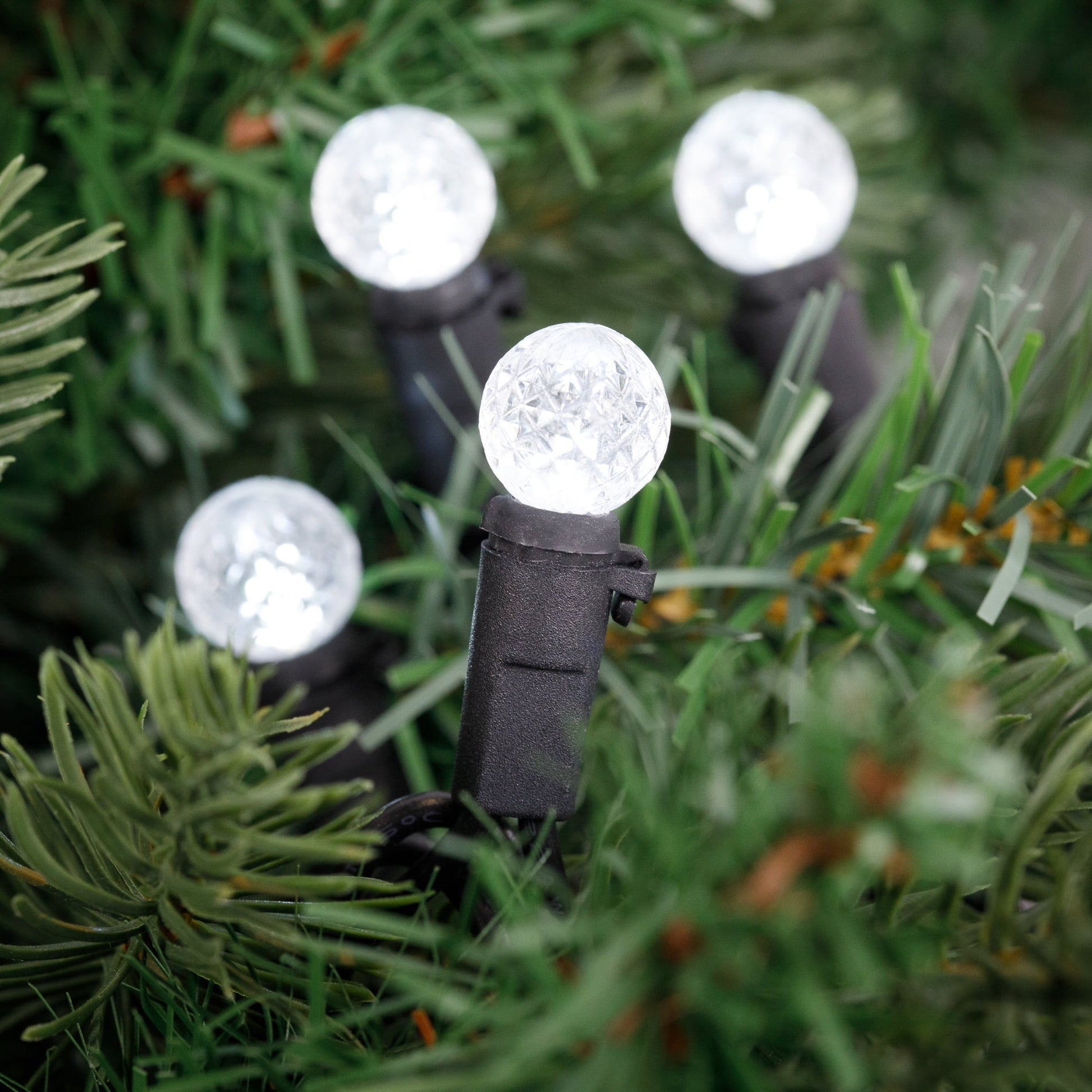 Northlight LED G12 Berry Christmas Lights - Pure White - 16' Black Wire - 50Ct