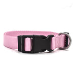 Adjustable Dog Collar – Durable Nylon | XS to XL | 6 Colors