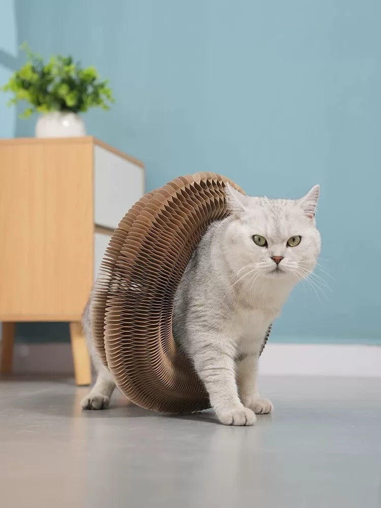 Foldable Cat Scratcher Lounge - Interactive Cardboard Scratching Pad for Cats