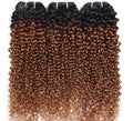 Afro Kinky Curly Human Hair Weave Bundle | Ombre T1B/30