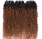Afro Kinky Curly Human Hair Weave Bundle | Ombre T1B/30