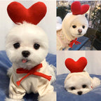 Cozy Fruit Hoodie for Small Dogs | Warm Fleece Winter Coat for Chihuahuas, French Bulldogs & Puppies