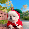 Cozy Fruit Hoodie for Small Dogs | Warm Fleece Winter Coat for Chihuahuas, French Bulldogs & Puppies