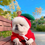 Cozy Fruit Hoodie for Small Dogs | Warm Fleece Winter Coat for Chihuahuas, French Bulldogs & Puppies