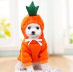 Cozy Fruit Hoodie for Small Dogs | Warm Fleece Winter Coat for Chihuahuas, French Bulldogs & Puppies