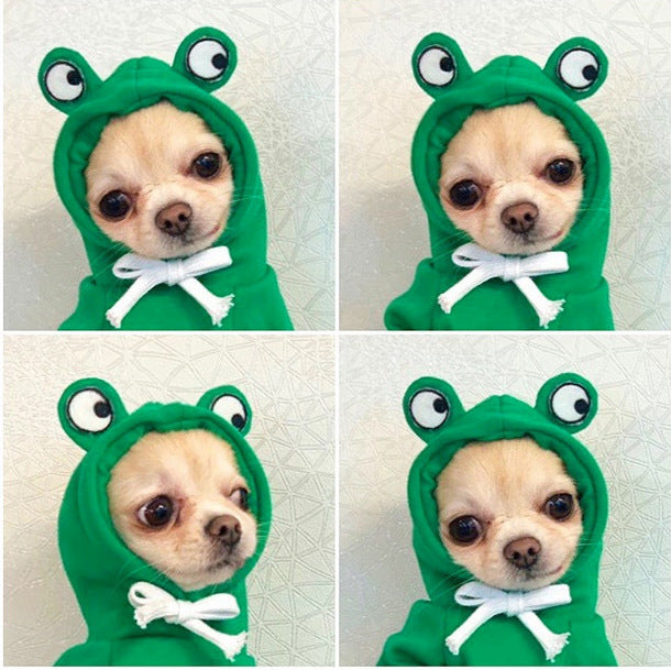 Cozy Fruit Hoodie for Small Dogs | Warm Fleece Winter Coat for Chihuahuas, French Bulldogs & Puppies
