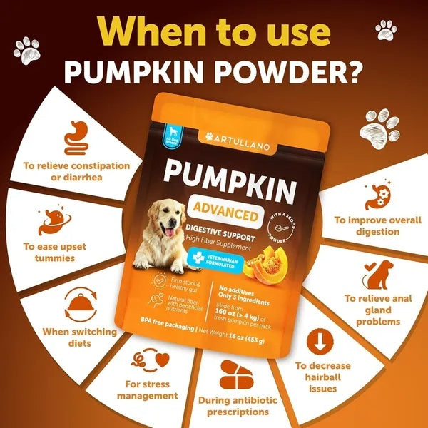 Pumpkin Powder for Dogs - Digestive Support Supplement 16 oz | Made in USA