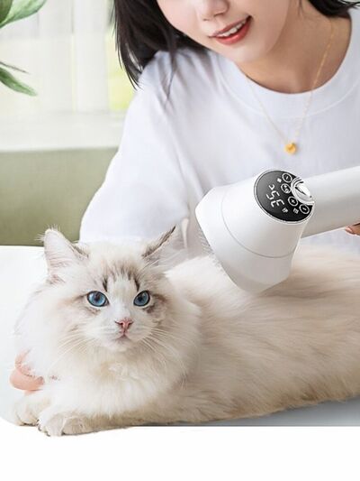 Low Noise Pet Hair Dryer & Comb | 2-in-1 Electric Grooming Dryer for Dogs & Cats