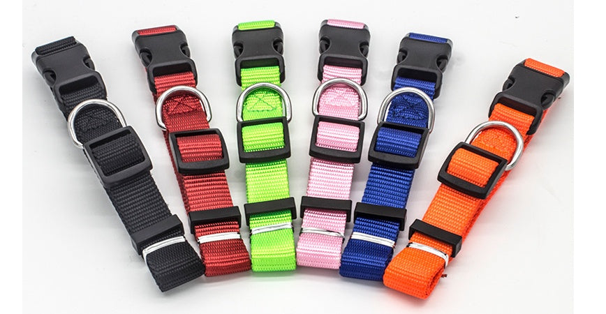 Adjustable Dog Collar – Durable Nylon | XS to XL | 6 Colors