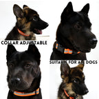 Reflective Dog Leash & Harness Set – High-Visibility Night Walk Safety