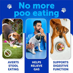 Dog Stool Eating Deterrent Chews - Coprophagia Prevention with Probiotics & Enzymes