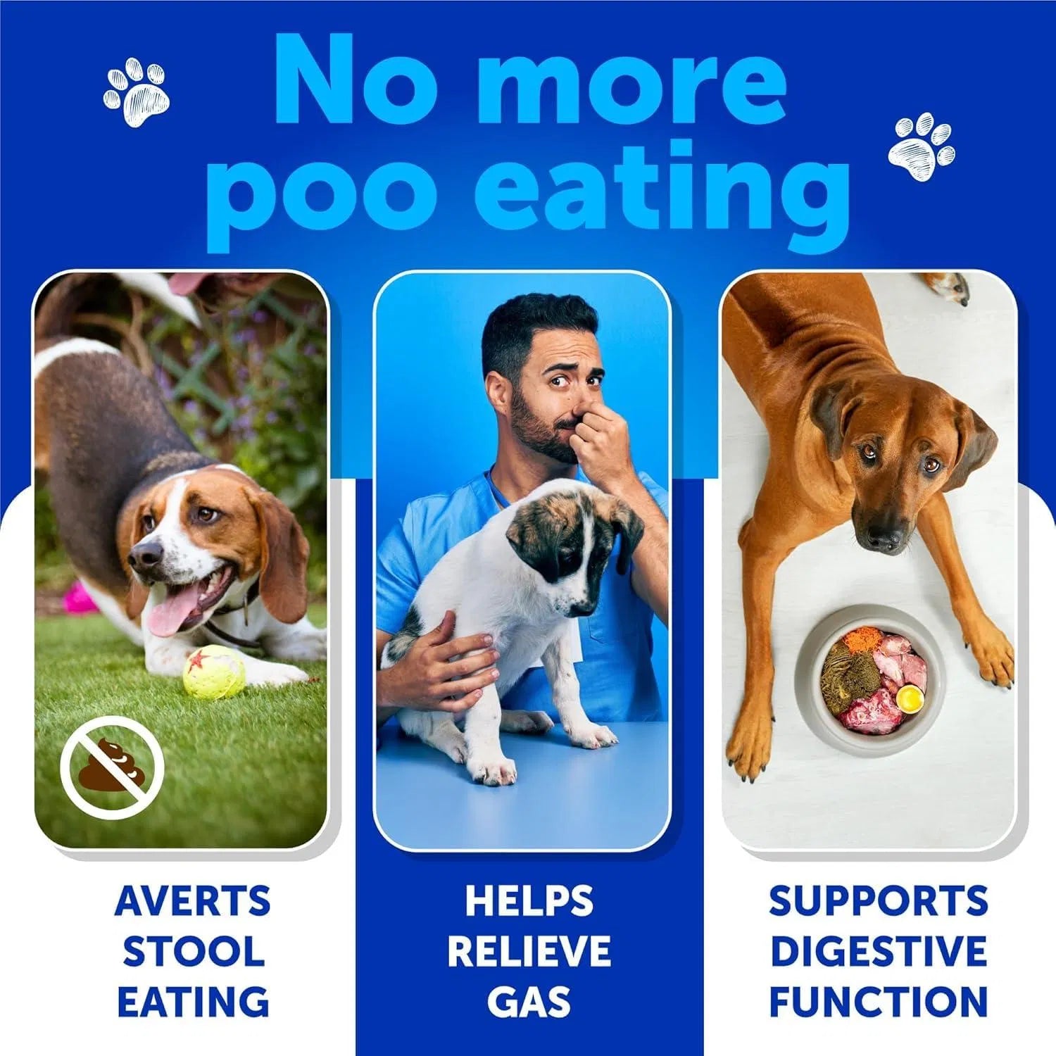 Dog Stool Eating Deterrent Chews - Coprophagia Prevention with Probiotics & Enzymes