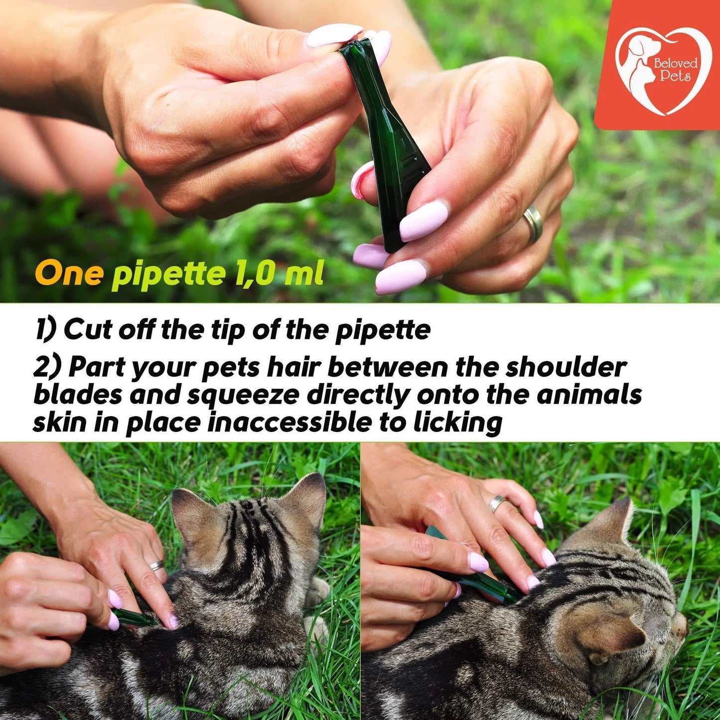 Natural Flea & Tick Prevention for Dogs & Cats - 3 Month Protection