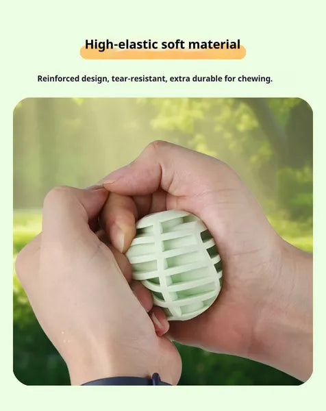 Squeaky Ball for Dogs & Cats – Interactive Sound Toy for Active Pet Play