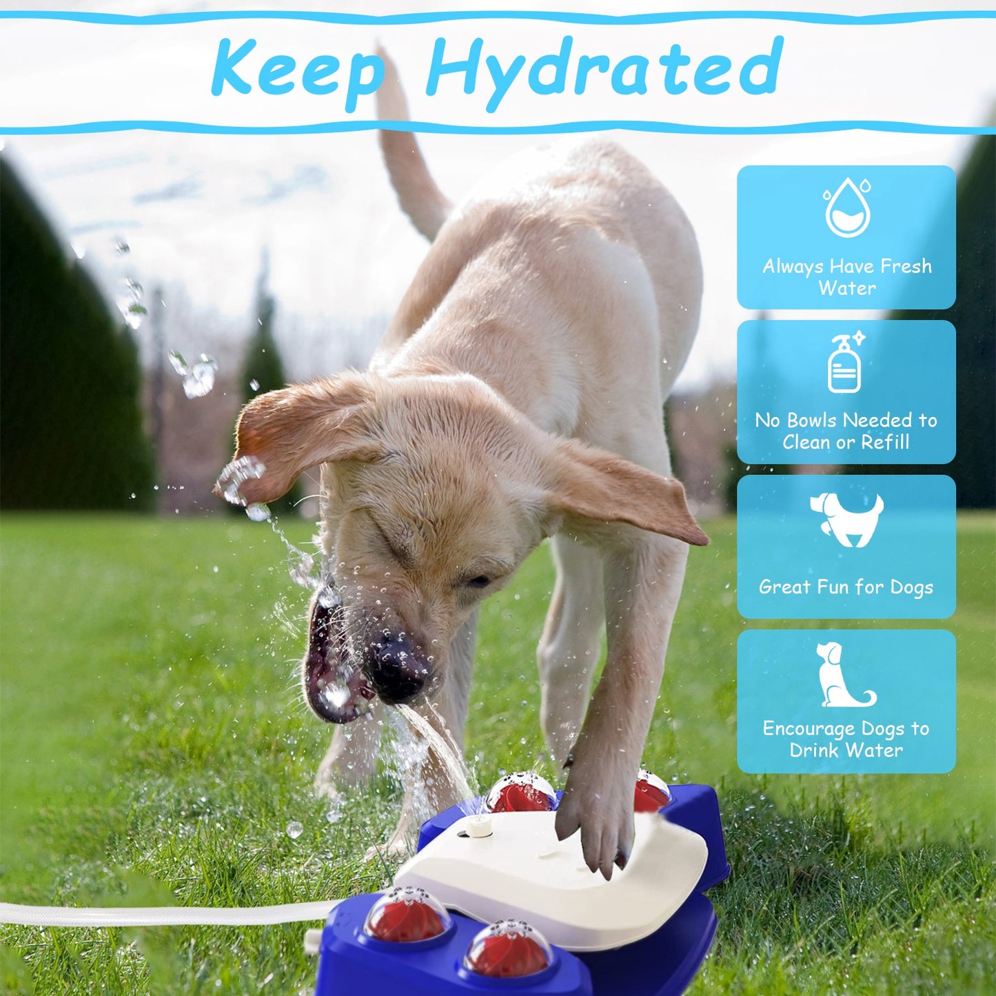Outdoor Dog Water Fountain - Step-Activated Automatic Pet Drinking & Sprinkler Station