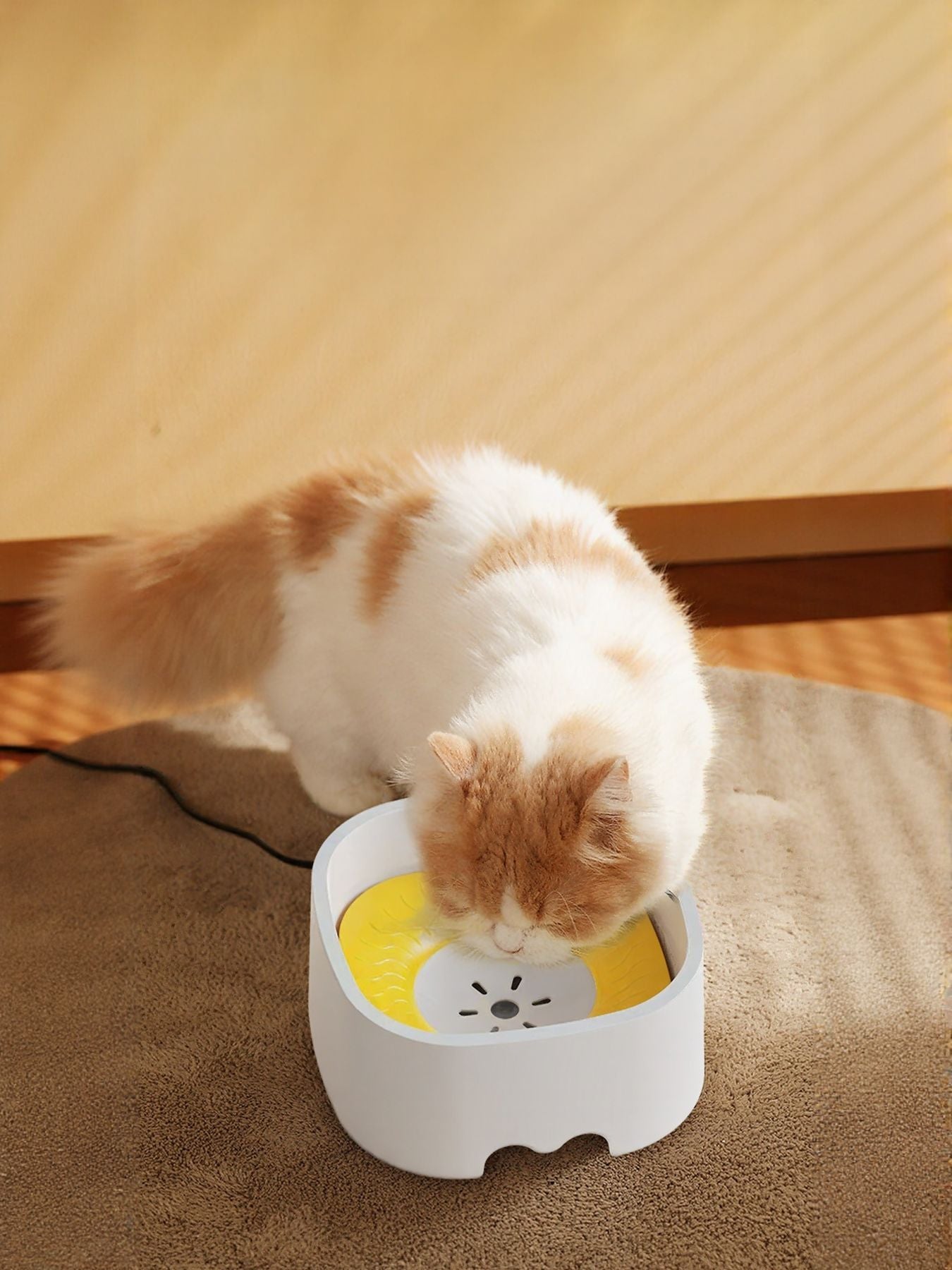 Automatic Circulating Filtered Pet Water Fountain | Silent & Clean Drinking Bowl for Dogs & Cats