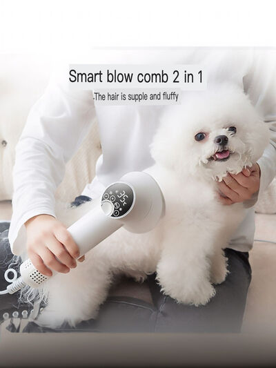 Low Noise Pet Hair Dryer & Comb | 2-in-1 Electric Grooming Tool for Dogs & Cats