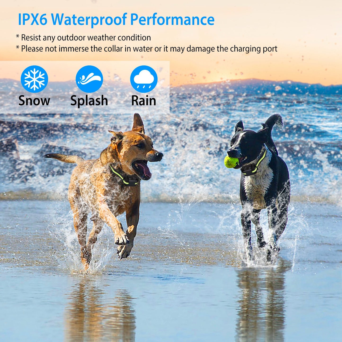Smart Dog Bark Collar – Rechargeable, Waterproof, 6-Level Anti-Bark Training Collar for Dogs 8–88 lbs
