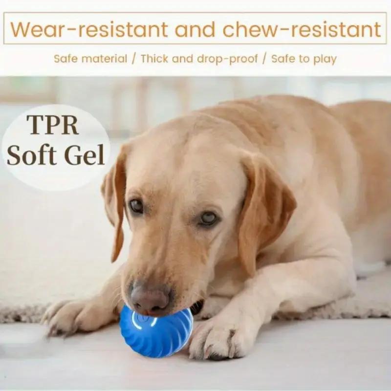 Interactive Bounce Ball for Dogs & Cats – Durable Rubber Pet Toy