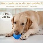Interactive Bounce Ball for Dogs & Cats – Durable Rubber Pet Toy