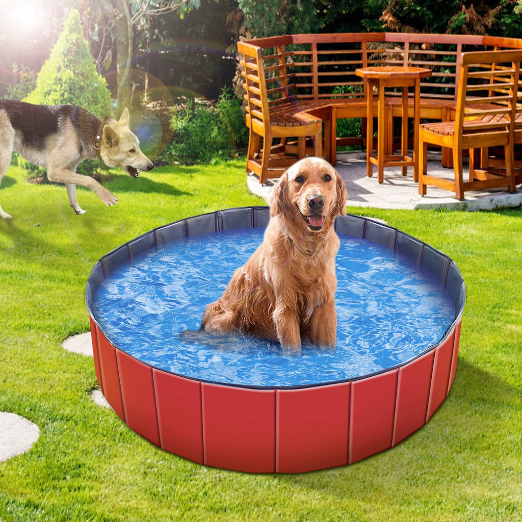 Extra Large Foldable Dog Pool 63" – Portable Swimming Pool for Dogs & Cats