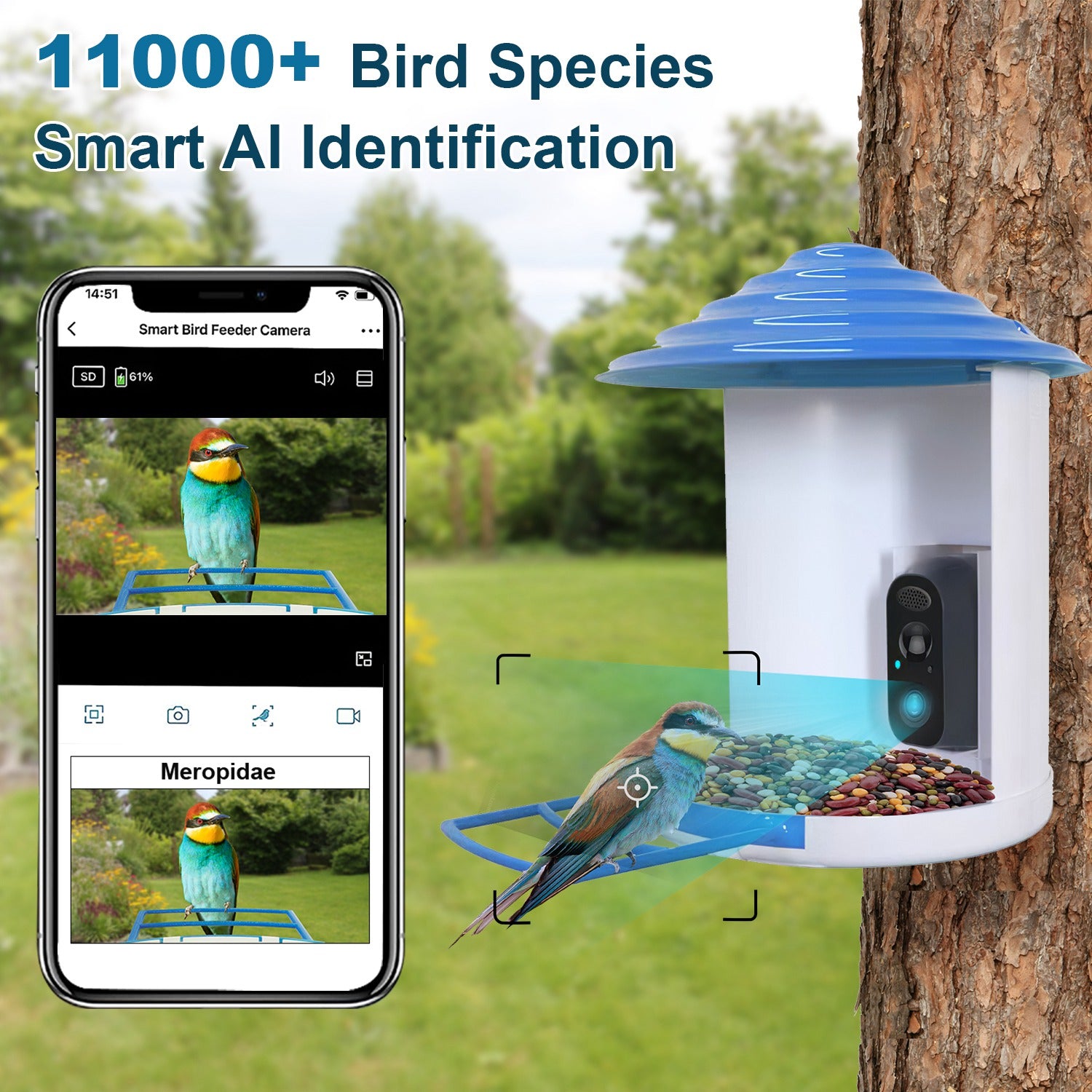 Smart Bird Feeder Camera with Solar Panel - 1080P HD AI Bird Identification & Motion Detection