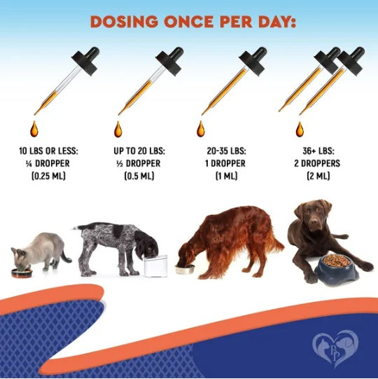 Probiotics for Dogs & Cats | Digestive Enzymes, Gut Health & Immune Support