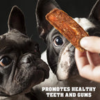 Premium Chicken Jerky Dog Treats - 1.5 lb Grain-Free Training Chews for All Dogs
