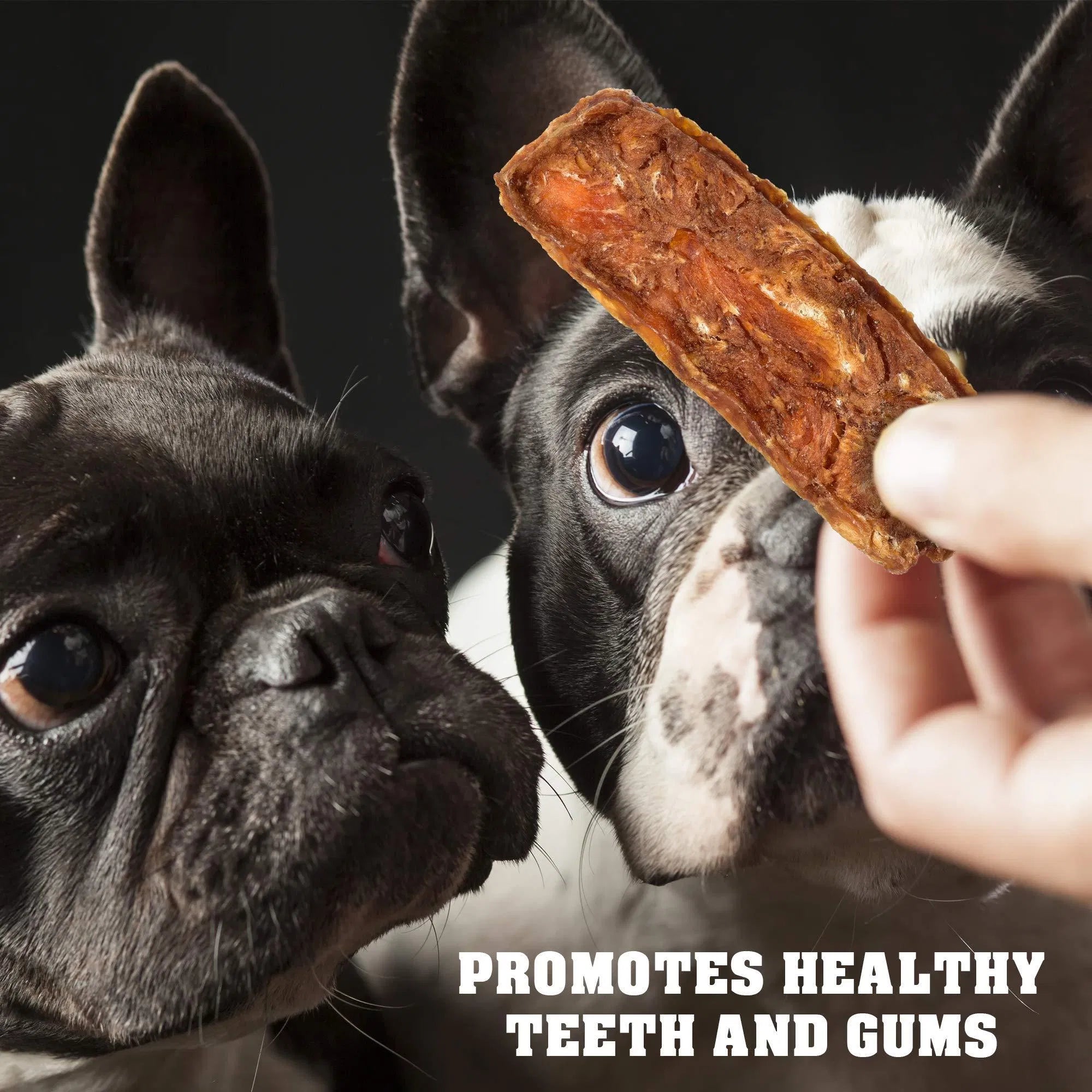 Premium Chicken Jerky Dog Treats - 1.5 lb Grain-Free Training Chews for All Dogs