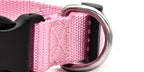 Adjustable Dog Collar – Durable Nylon | XS to XL | 6 Colors