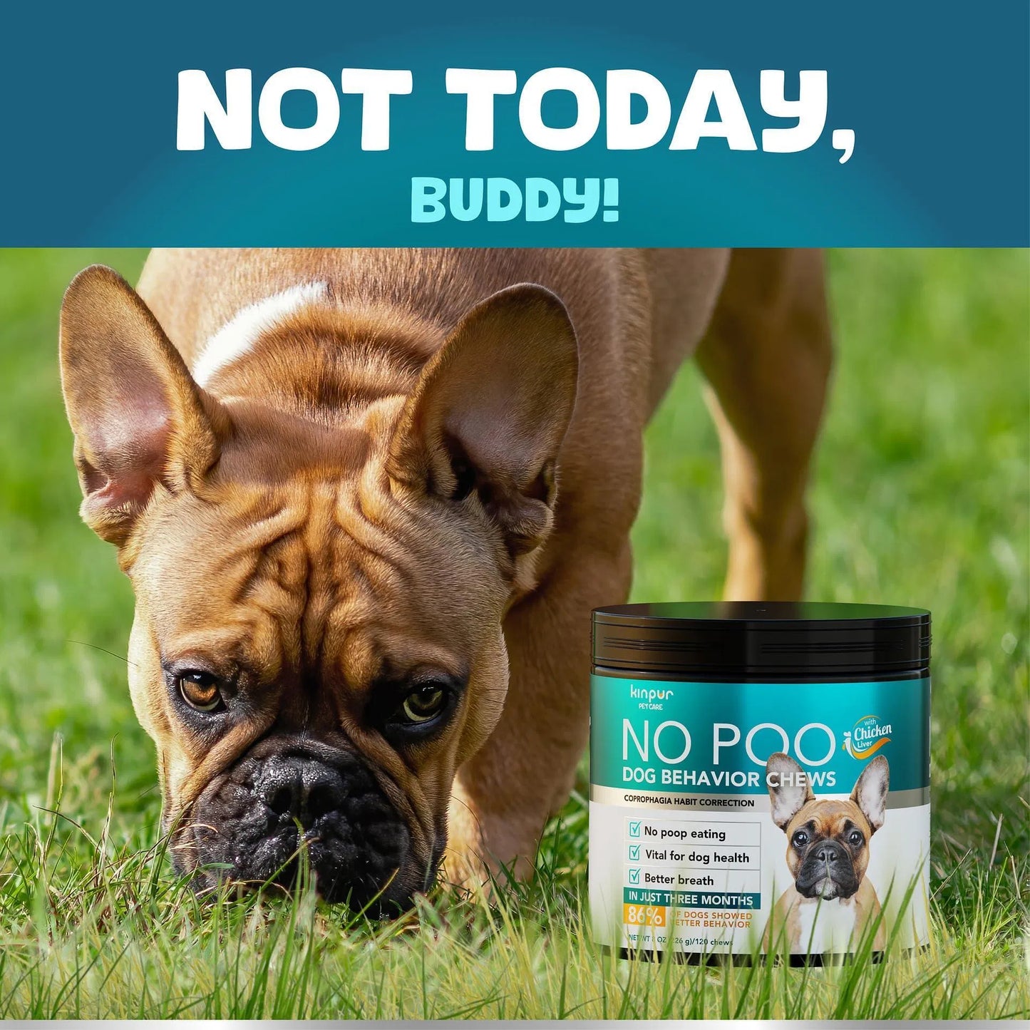No Poo Chews – Stop Dog Poop Eating | 180 Soft Chews with Probiotics & Digestive Enzymes