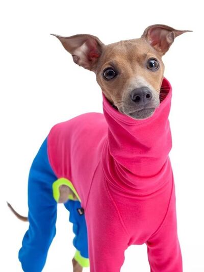 Color Block Turtleneck Pet Jumpsuit – Plus Size | Cozy Dog & Cat Outfit