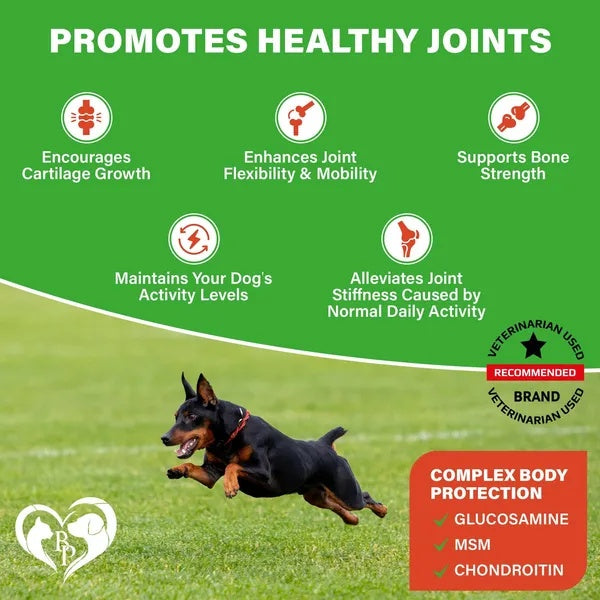 Hip & Joint Supplement for Dogs – Glucosamine, Chondroitin, MSM & Turmeric Soft Chews for Arthritis & Joint Pain Relief