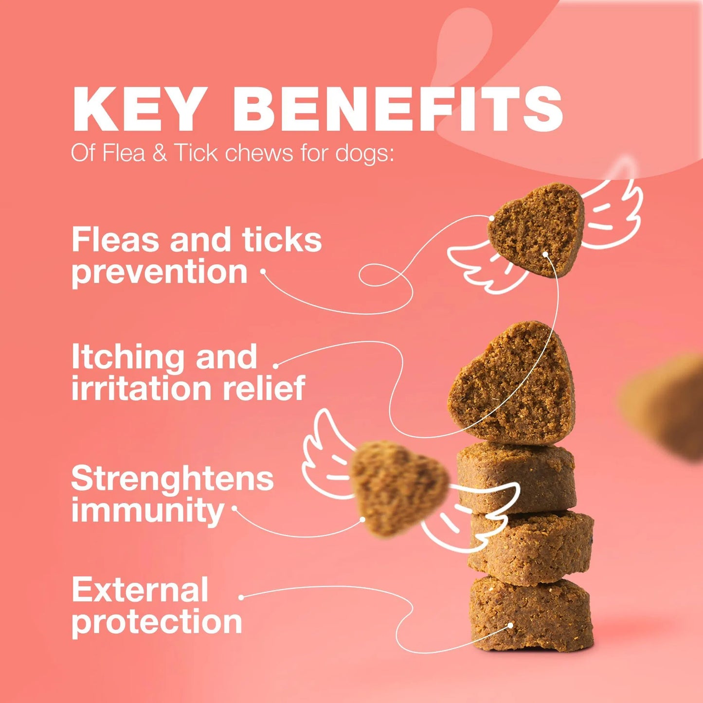 Natural Flea and Tick Prevention Chews for Dogs - Immune Support Soft Treats