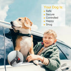 Pet Dog Seat Belt 2-Pack - Adjustable Safety Harness for Car Travel