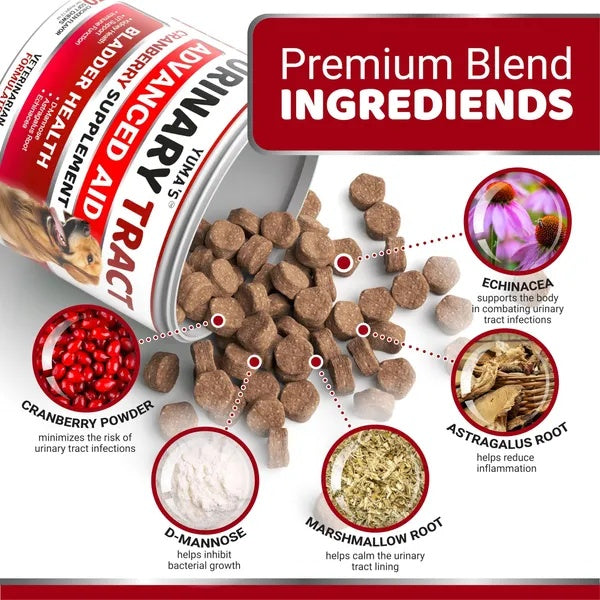 Dog Cranberry Supplement for Urinary Tract Health - 170 Chicken Flavor Chews with D-Mannose