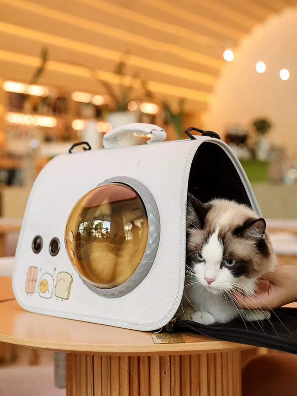 Bubble Window Pet Carrier Backpack — Breathable & Secure for Cats & Small Dogs